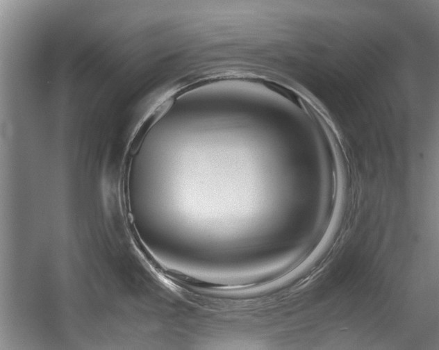 X0000057561293200509160953