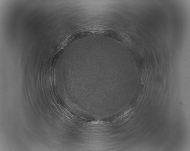 X0000057561298200509160952