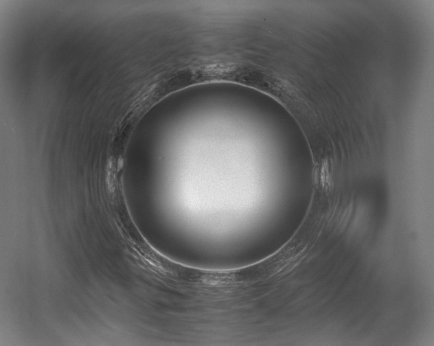 X0000057561299200509160952