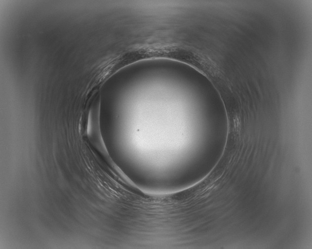 X0000057561300200509160952