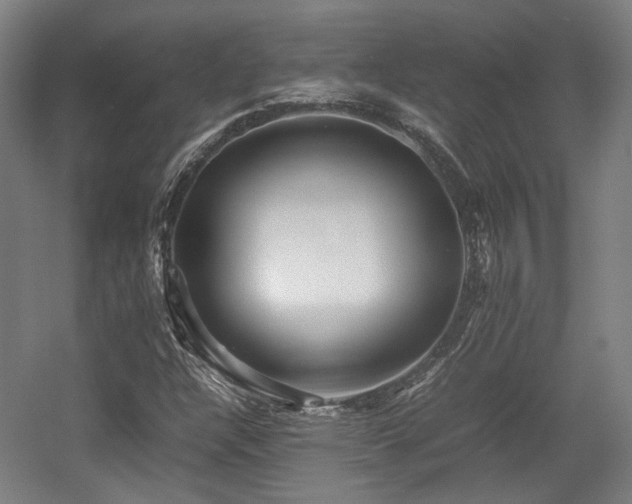 X0000057561304200509160953