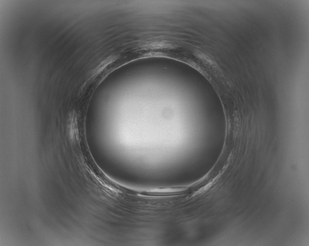X0000057561305200509160953