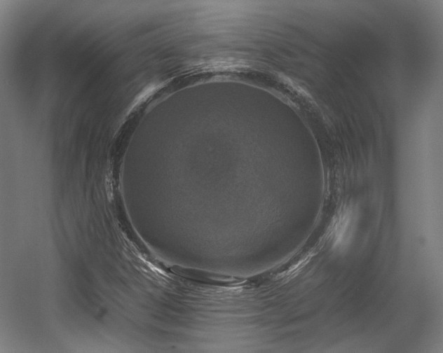 X0000057561306200509160953
