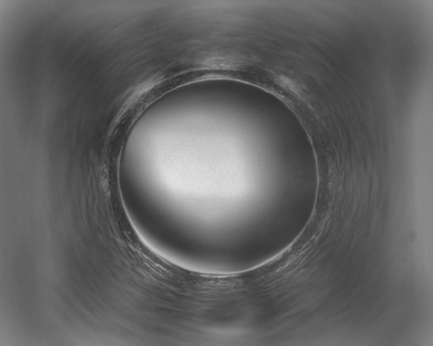 X0000057561307200509160953