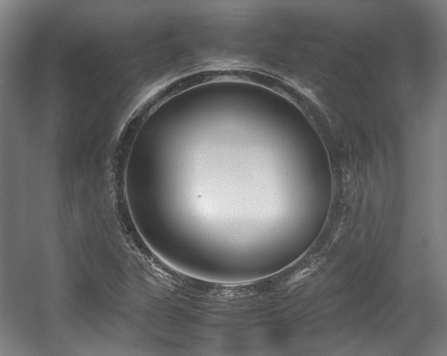 X0000057561311200509160953