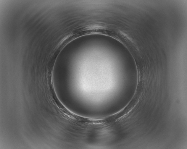 X0000057561313200509160953