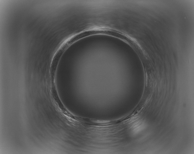 X0000057561319200509160953