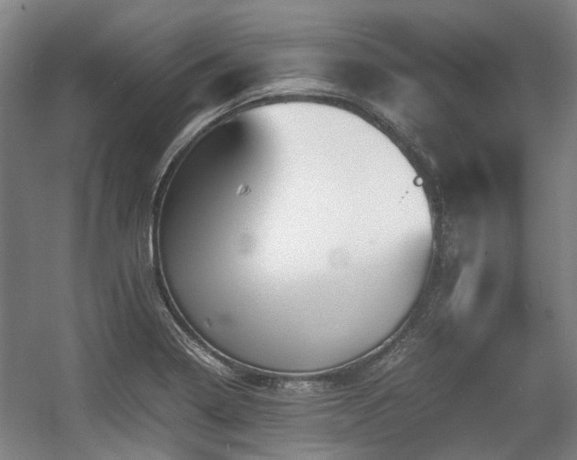 X0000057561322200509160953