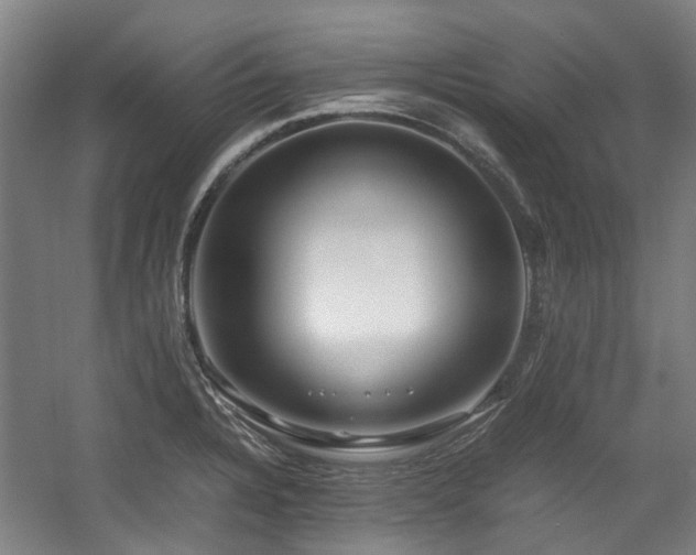 X0000057561328200509160953