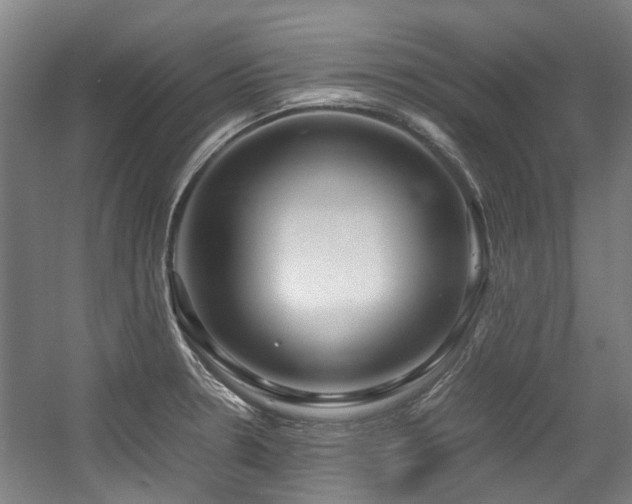 X0000057561330200509160953