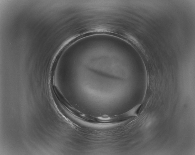 X0000057561331200509160953