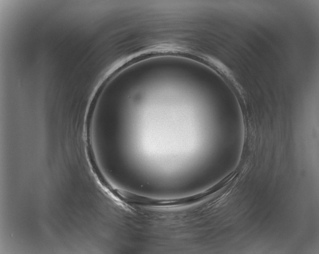 X0000057561335200509160953