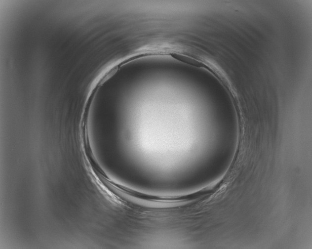 X0000057561344200509160953