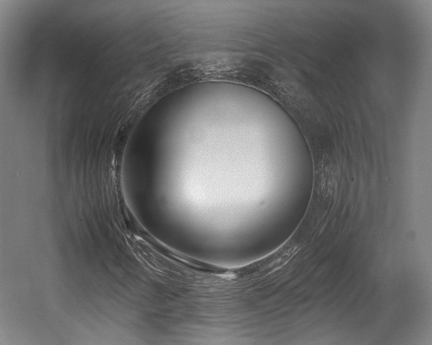 X0000057561346200509160952