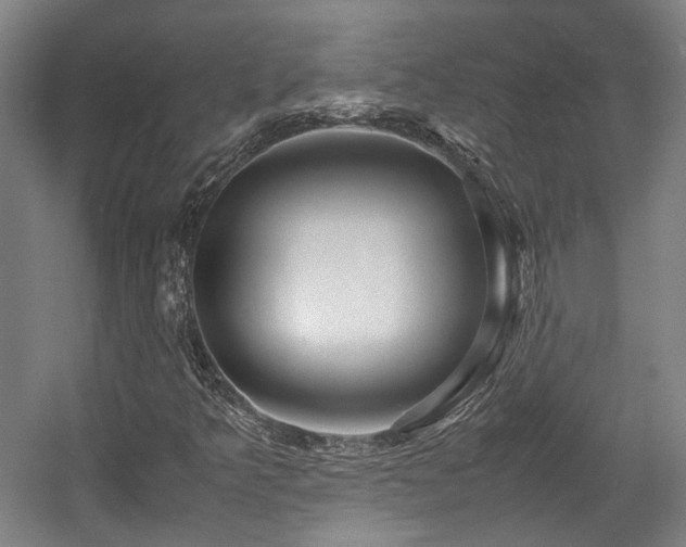 X0000057561349200509160952