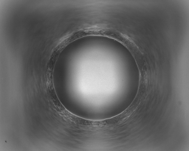 X0000057561350200509160952