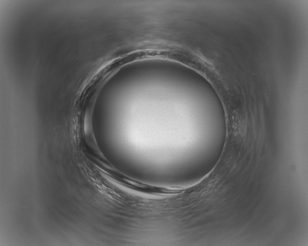 X0000057561352200509160952