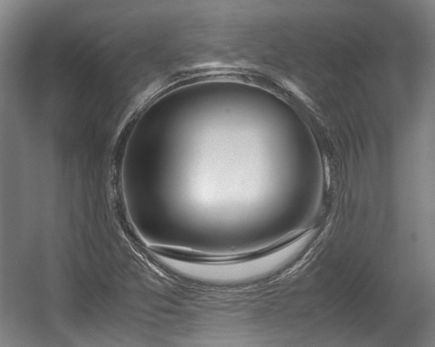 X0000057561357200509160952