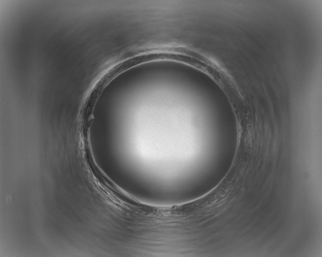 X0000057561360200509160952