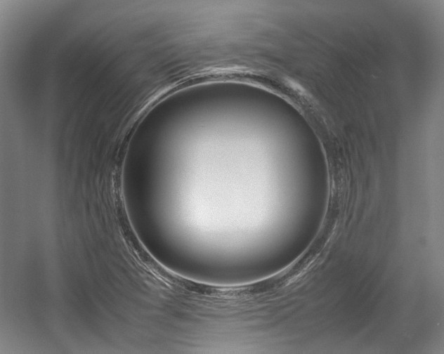 X0000057561361200509160952