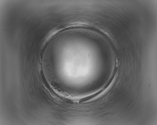 X0000057561363200509160952