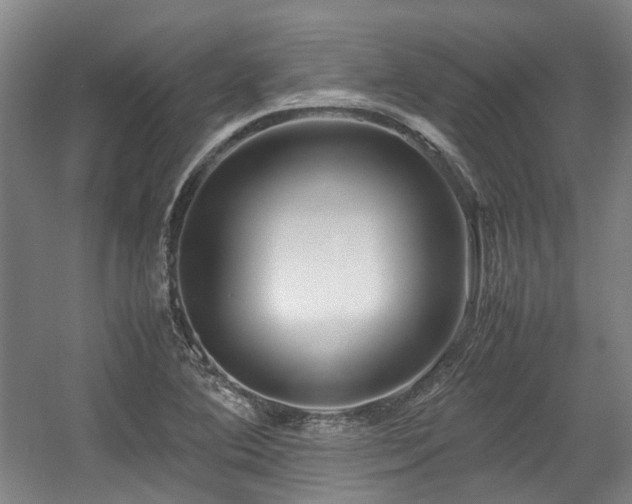 X0000057561364200509160952