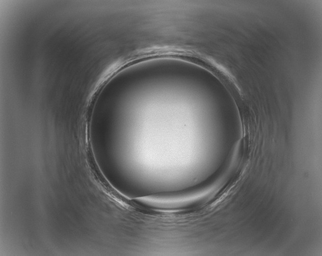 X0000057561365200509160952