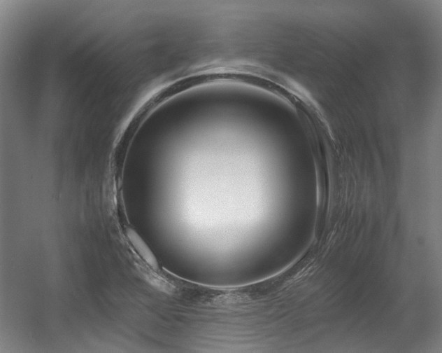 X0000057561368200509160952