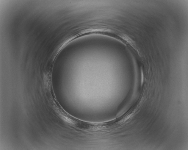X0000057561369200509160952