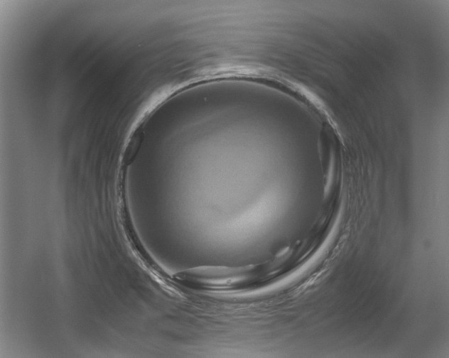 X0000057561373200509160952