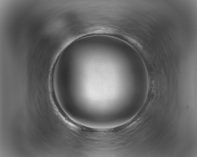 X0000057561375200509160952