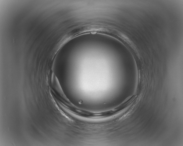 X0000057561377200509160952