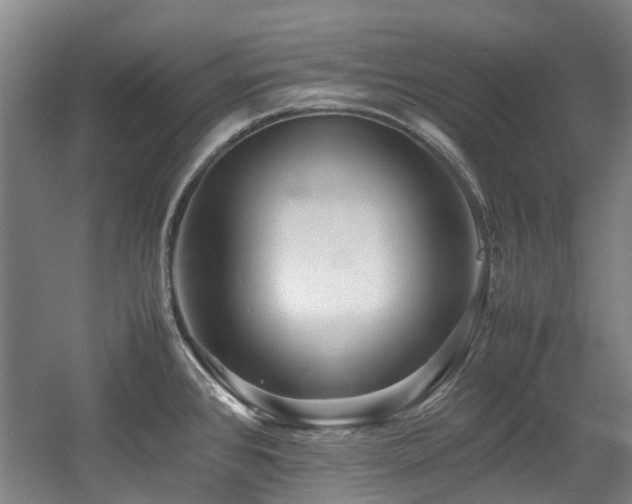 X0000057561384200509160952