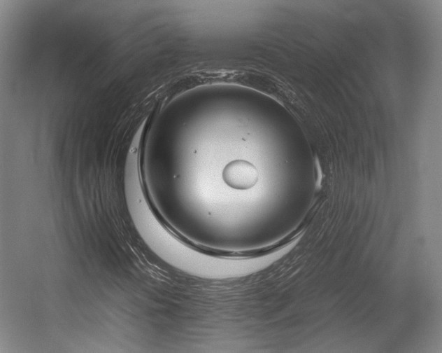 X0000057561394200509160951