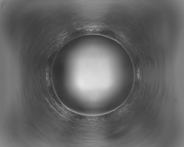 X0000057561396200509160951