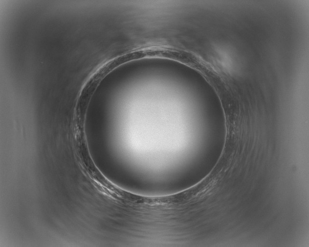 X0000057561400200509160951