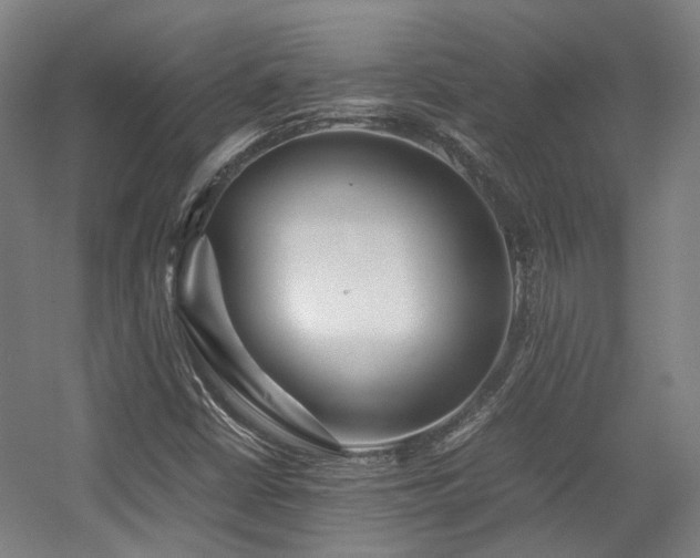 X0000057561402200509160951