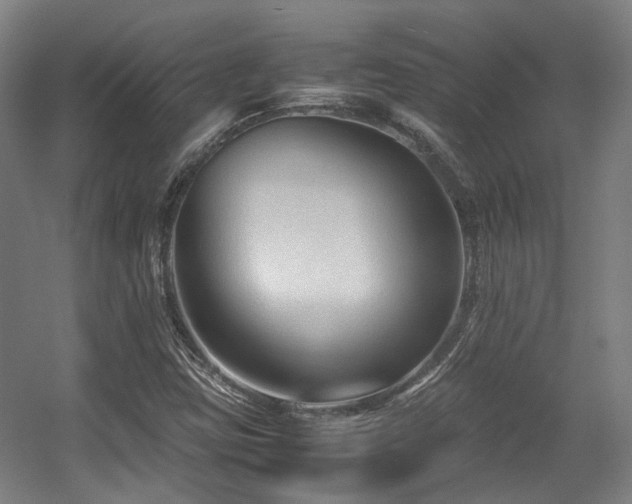X0000057561403200509160951