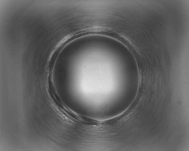 X0000057561410200509160951