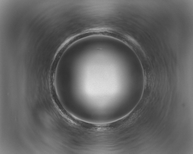 X0000057561412200509160951