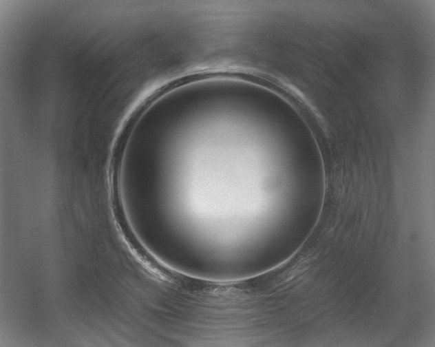 X0000057561416200509160951