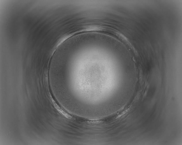 X0000057561417200509160951