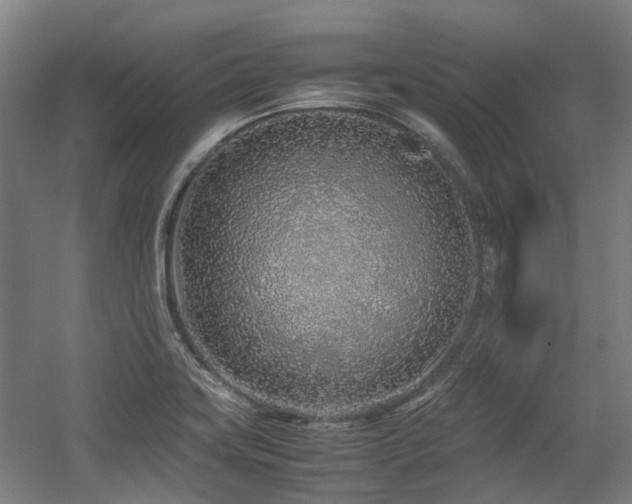 X0000057561419200509160951