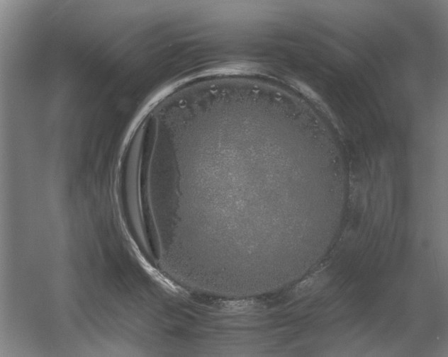 X0000057561421200509160951