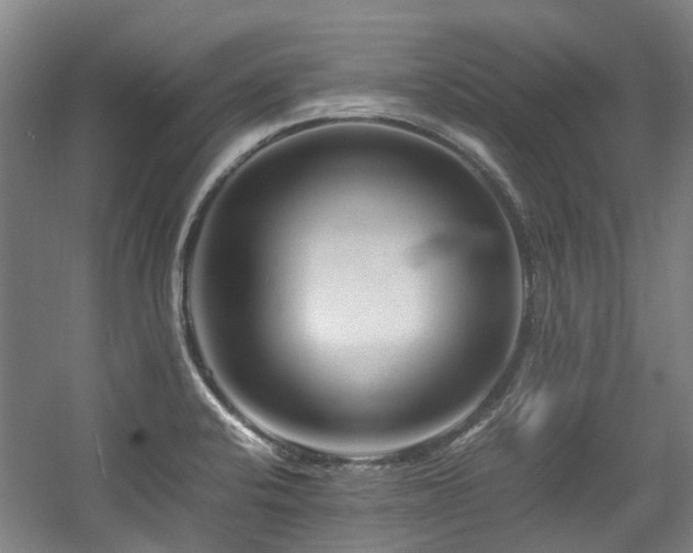 X0000057561424200509160951