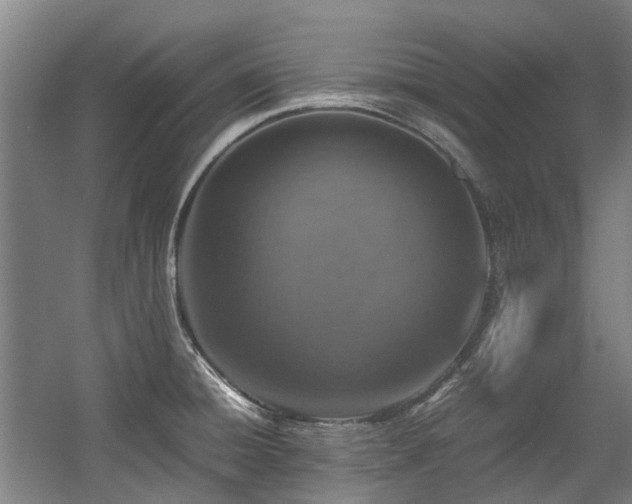 X0000057561428200509160951
