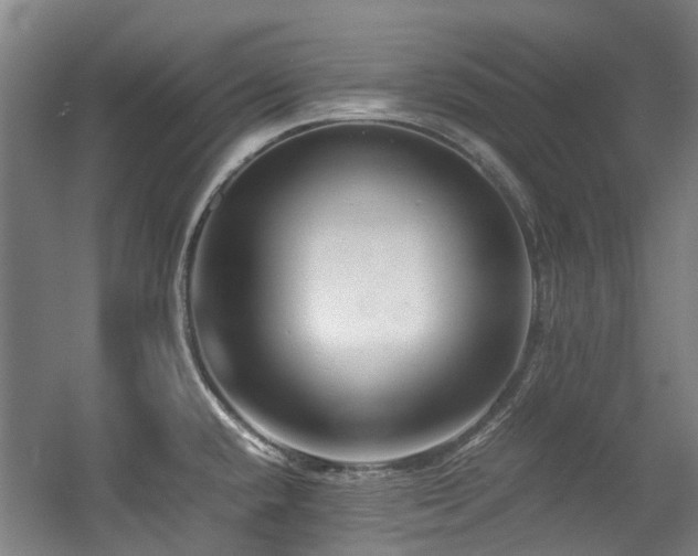 X0000057561432200509160951