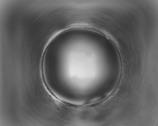 X0000057561440200509160952