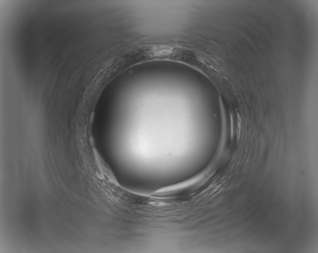 X0000057561441200509160951
