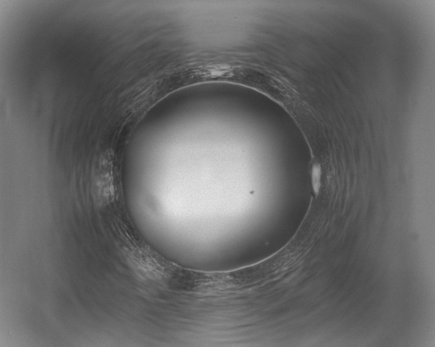 X0000057561442200509160951